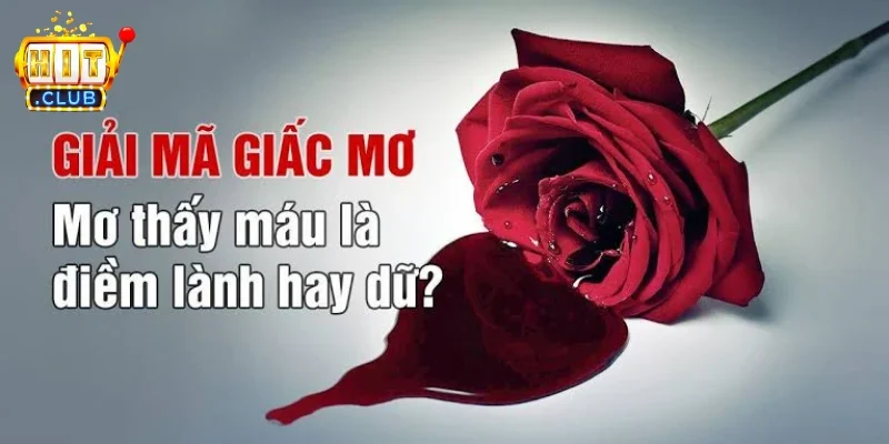 Ngủ mơ thấy máu - Giải mã nghĩa dưới nhiều khía cạnh 2026 7 Ngủ mơ thấy máu có phổ biến không?